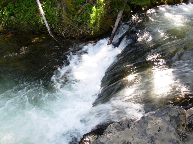 Summer '06 Sunriver 289 